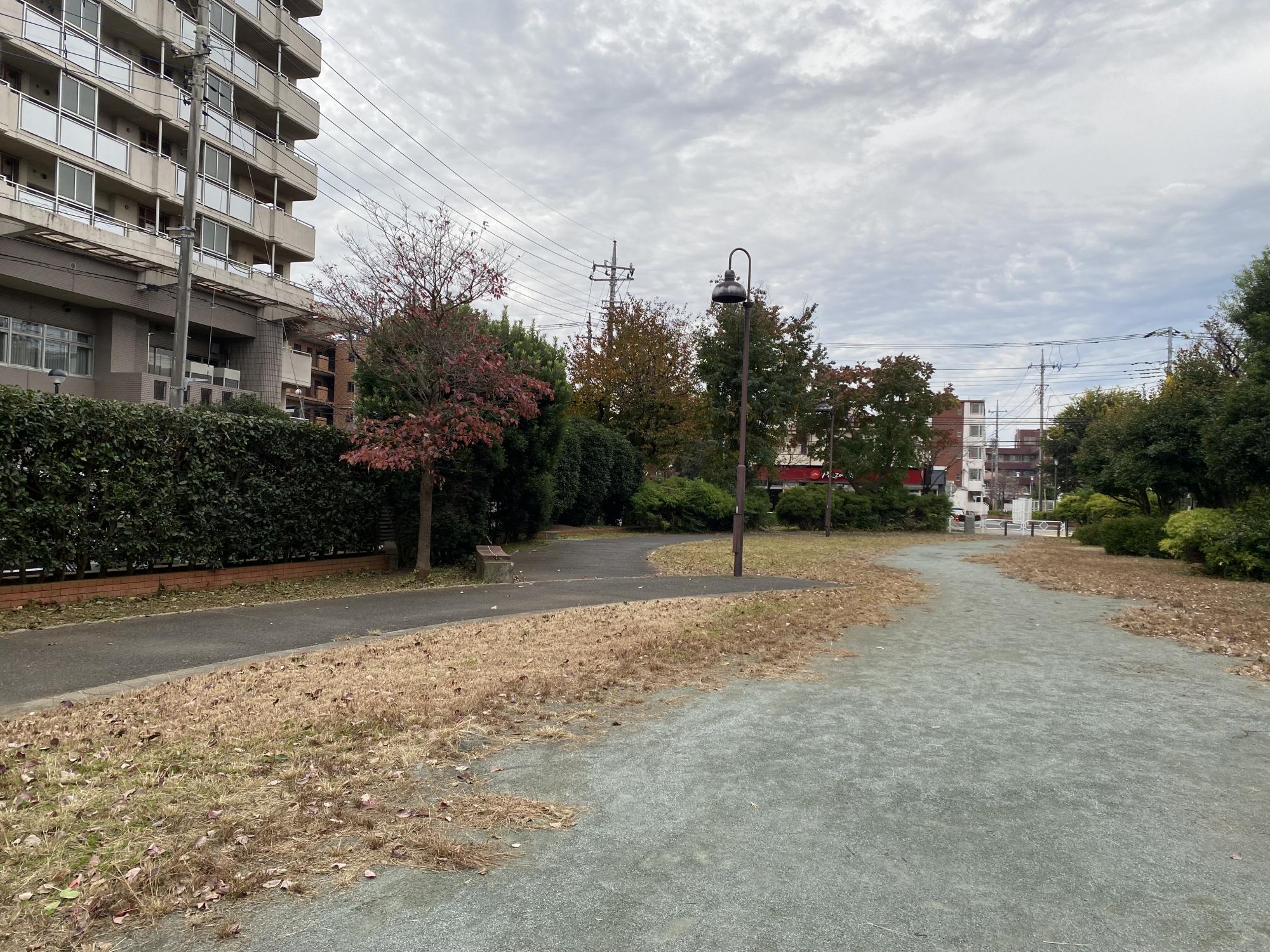 竹丘ゆうゆう公園