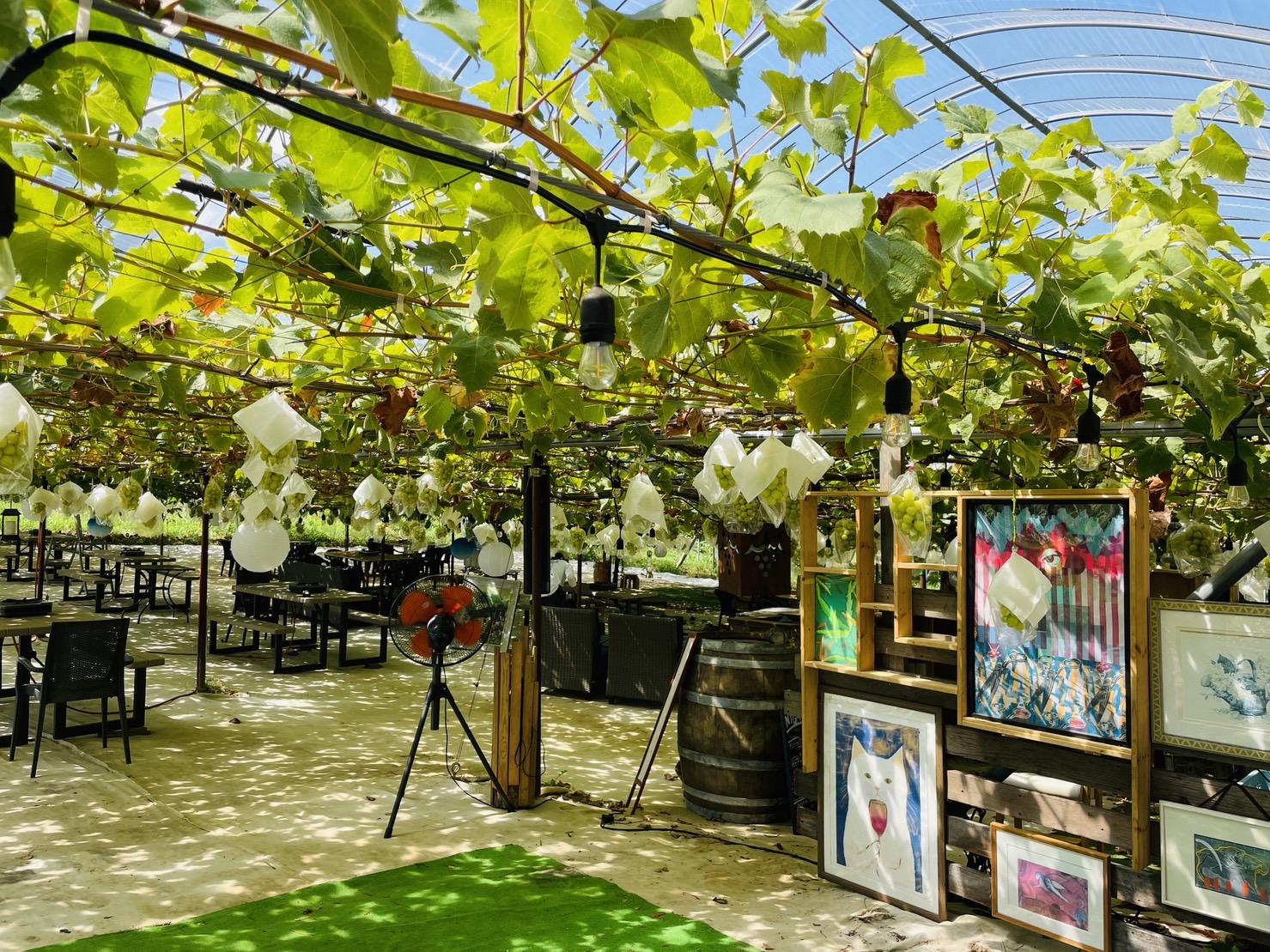 やまふじぶどう園