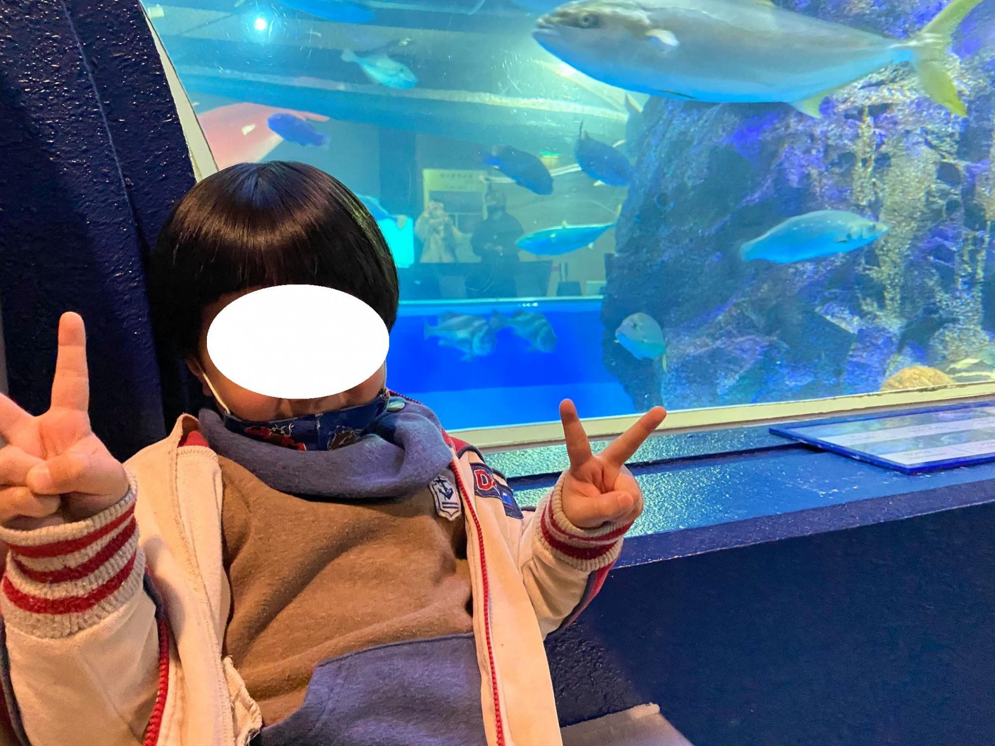 魚津水族館｜富山　魚津　おでかけ