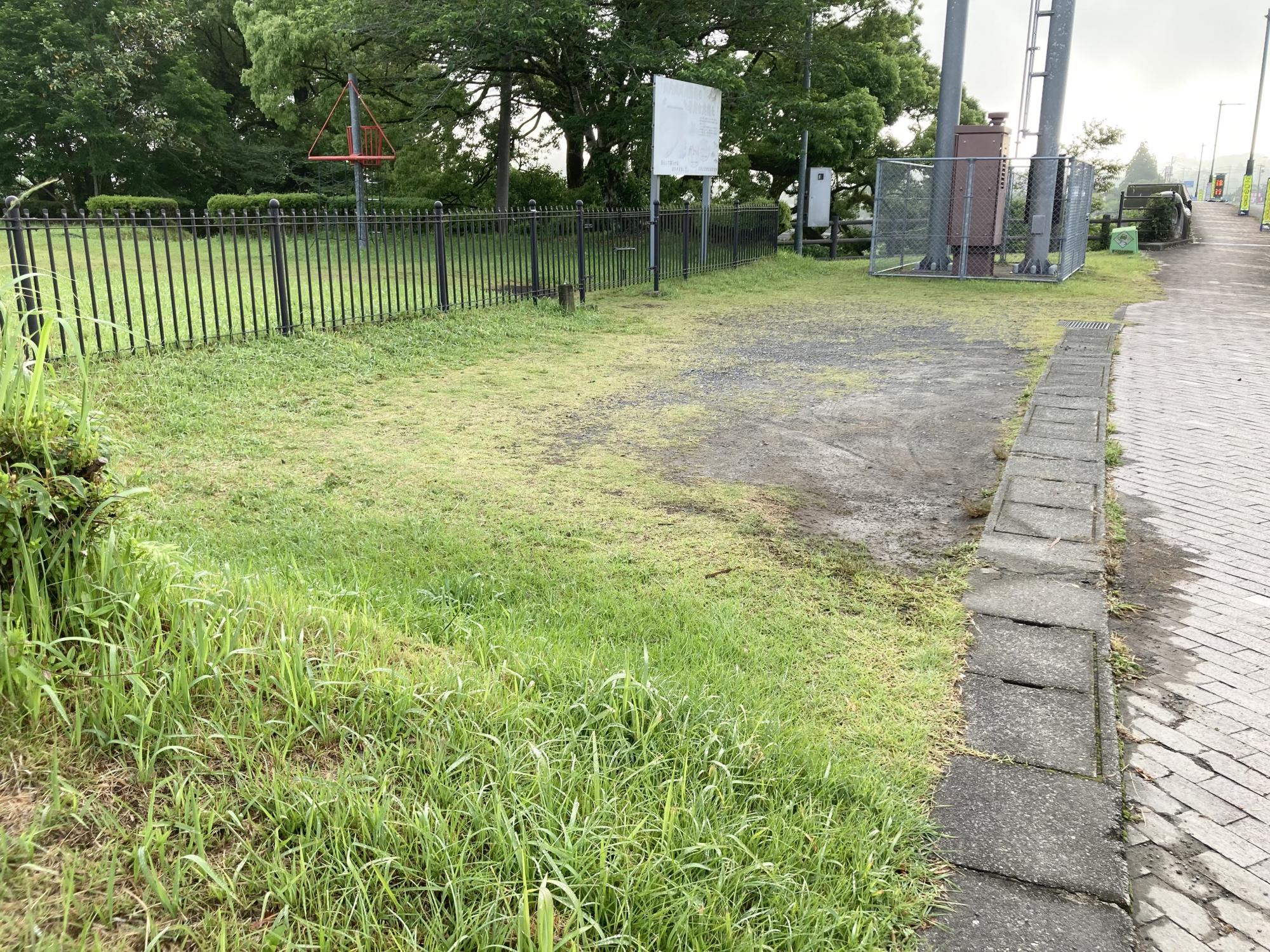 とどろ公園