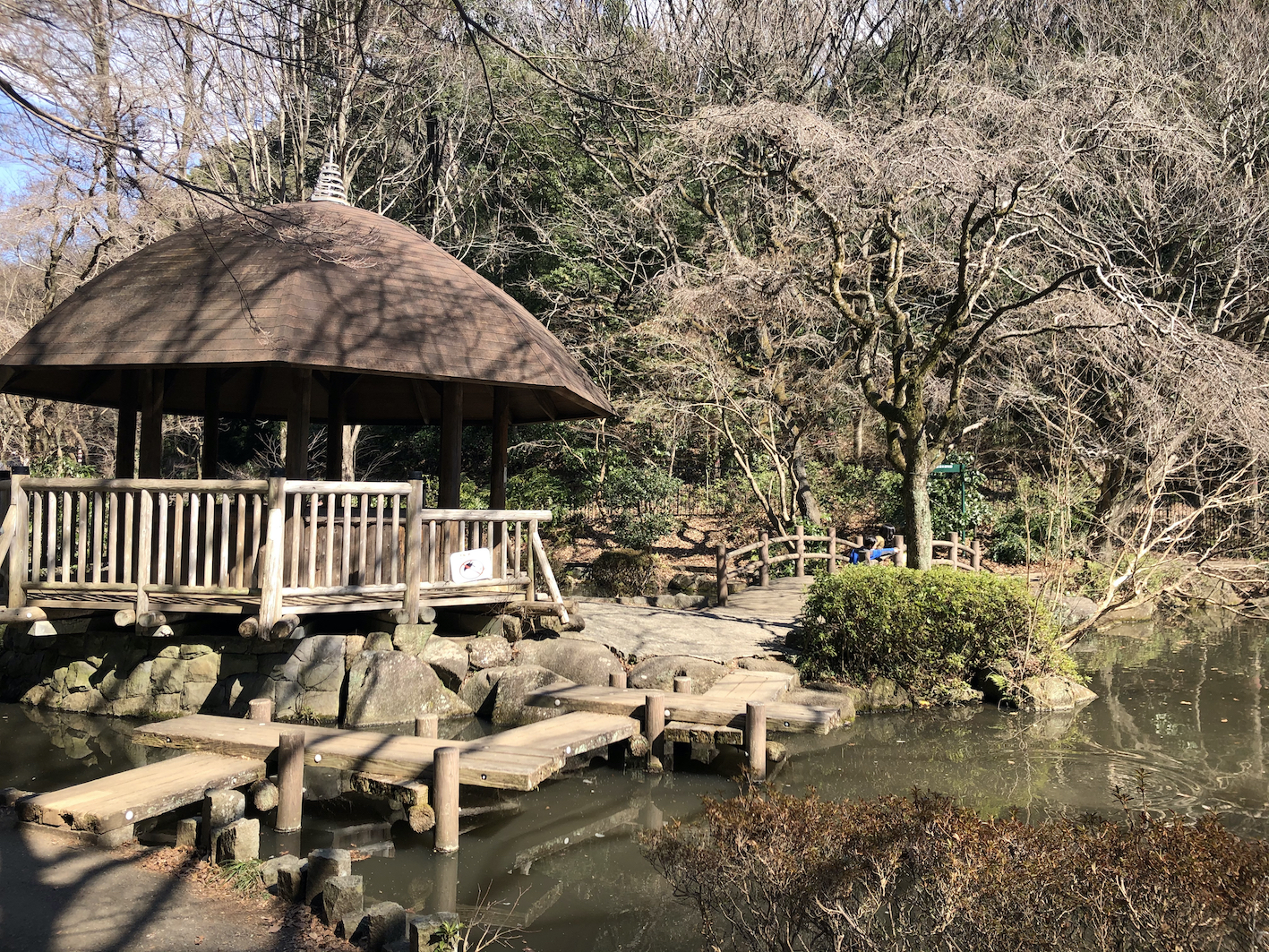 県立東高根森林公園