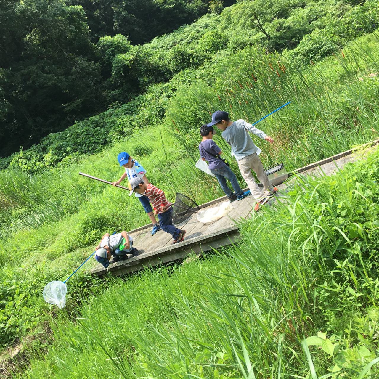 Ponteとやま  みやの森カフェ