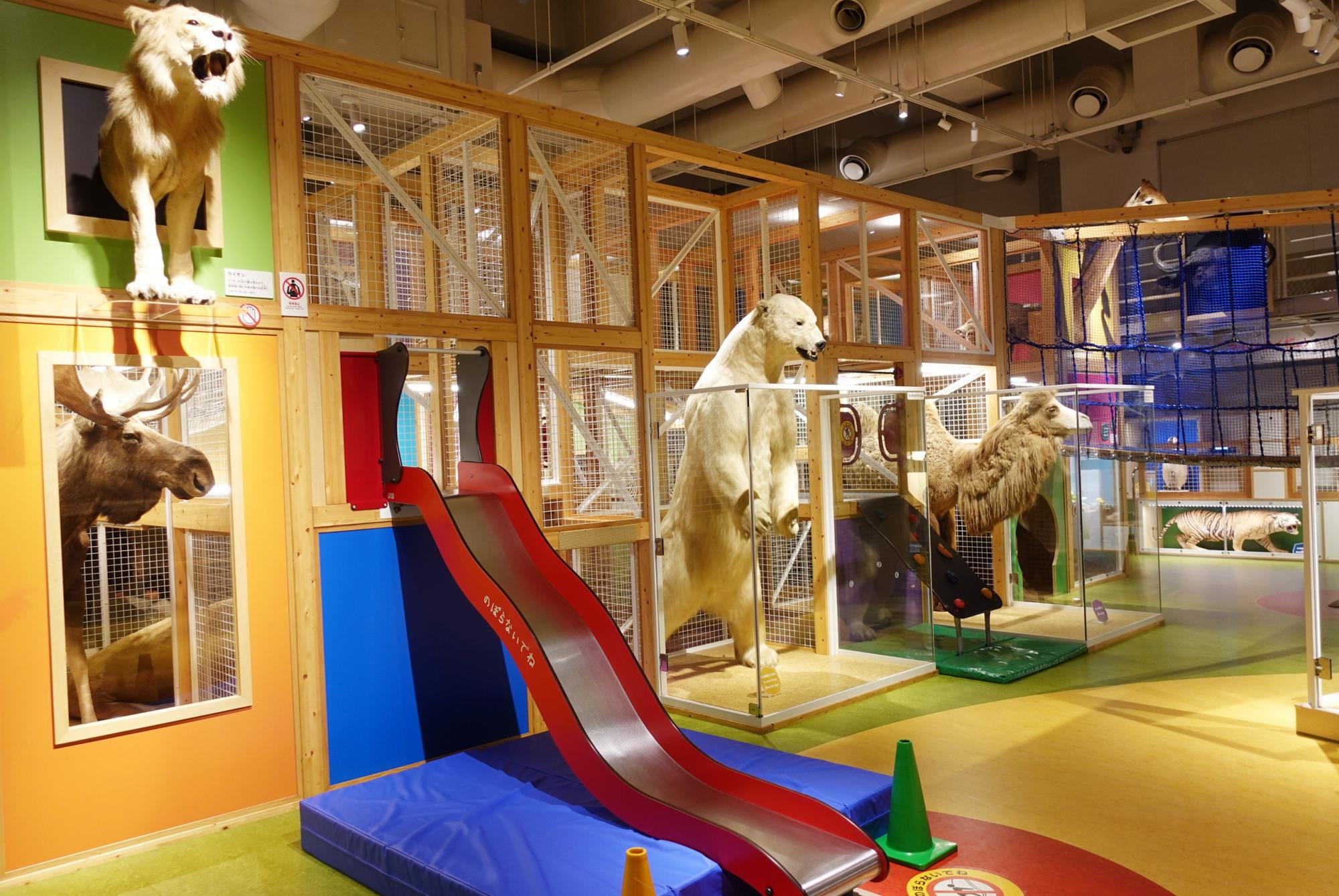 国立科学博物館