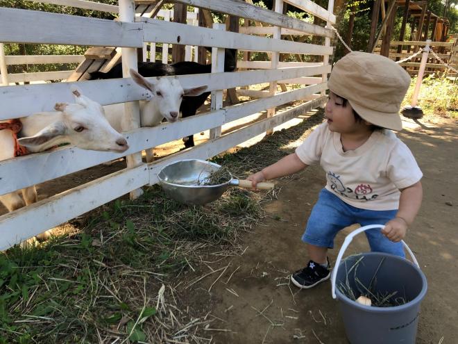 千葉市動物公園