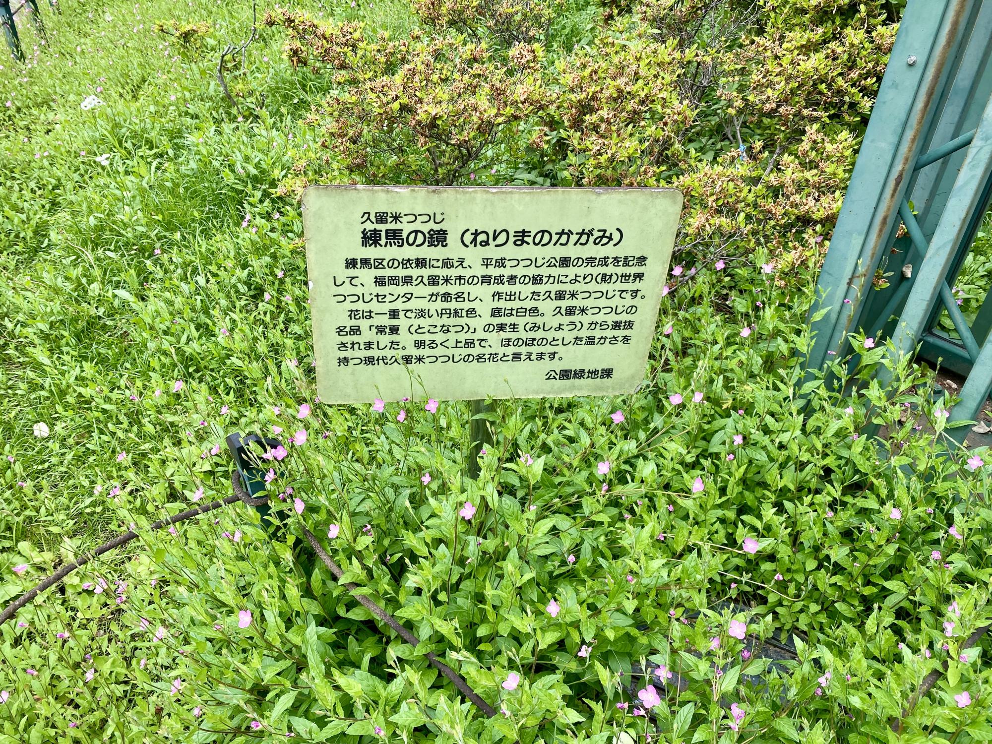 平成つつじ公園