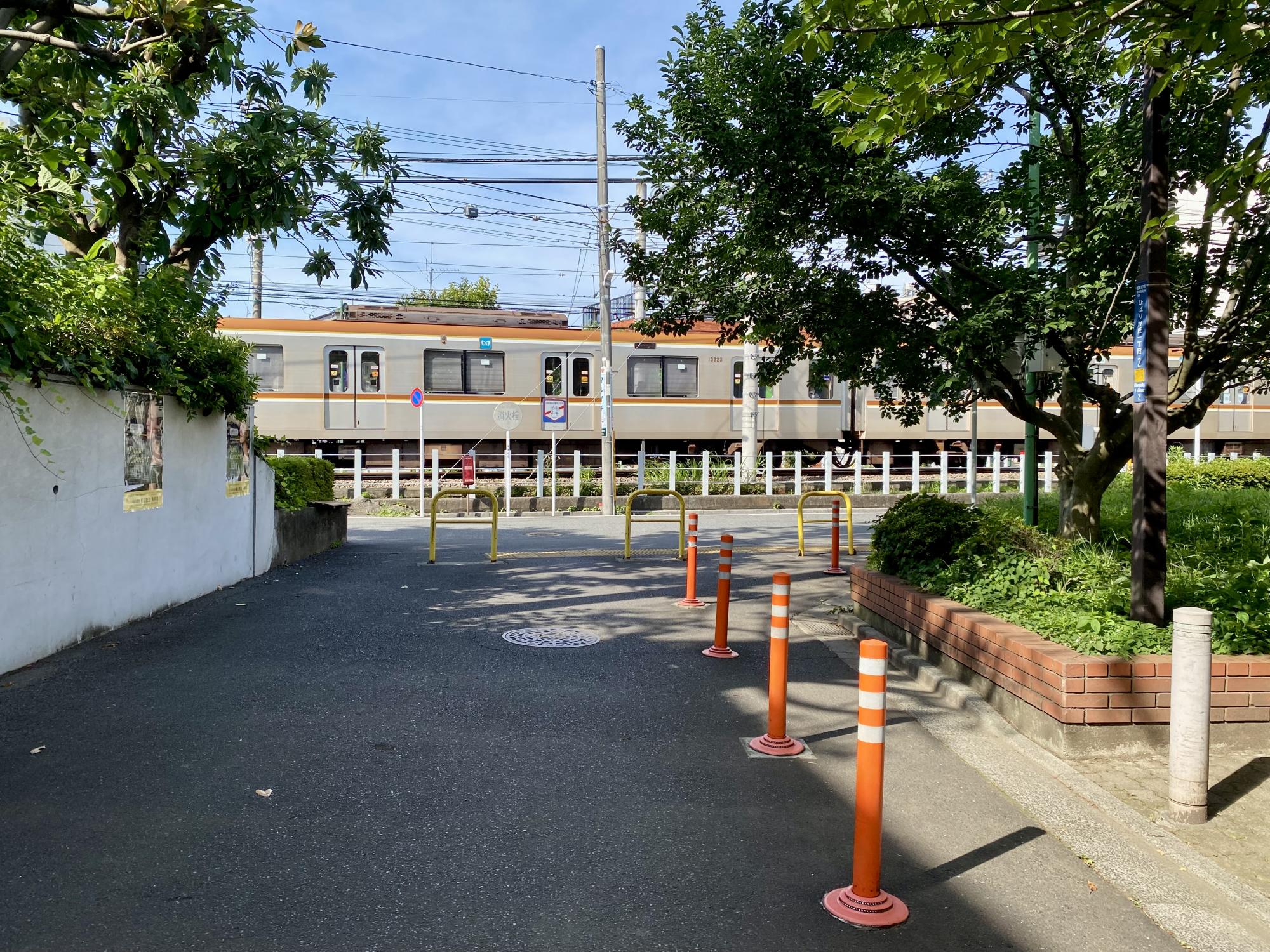 ひばりが丘公園