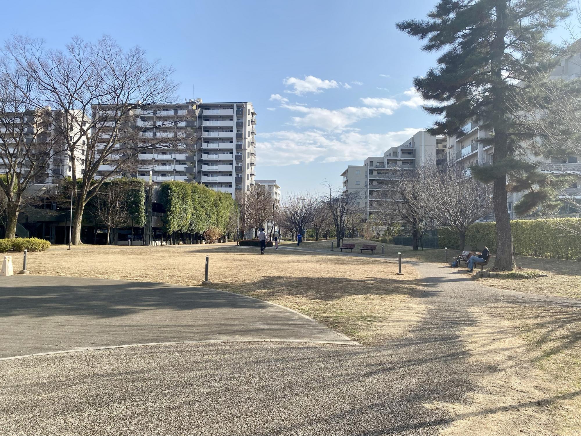 ひばりヶ丘団地南公園