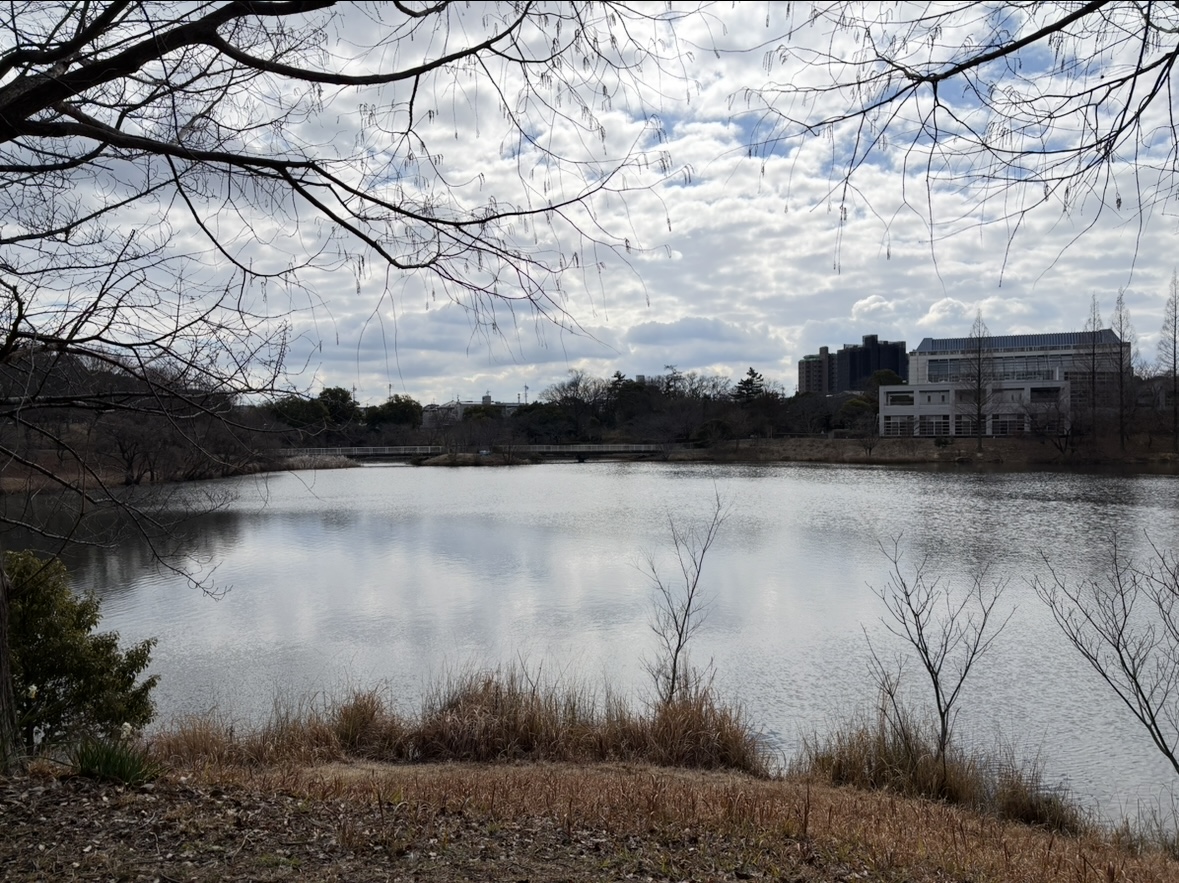 杁ヶ池公園