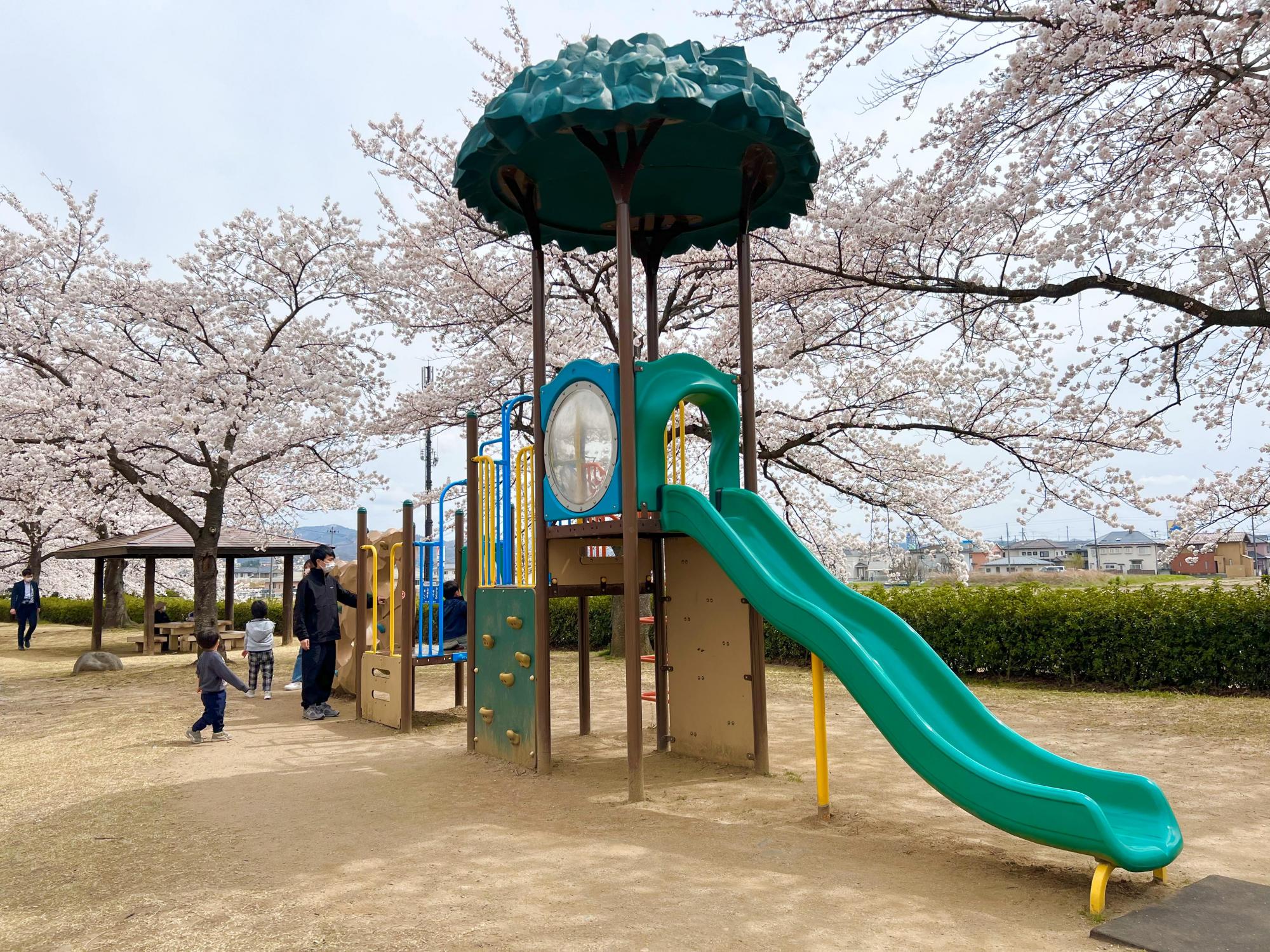 荒川桜づつみ河川公園