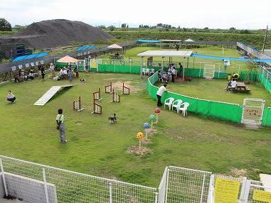 わんちゃんの広場ohana.(オハナ)