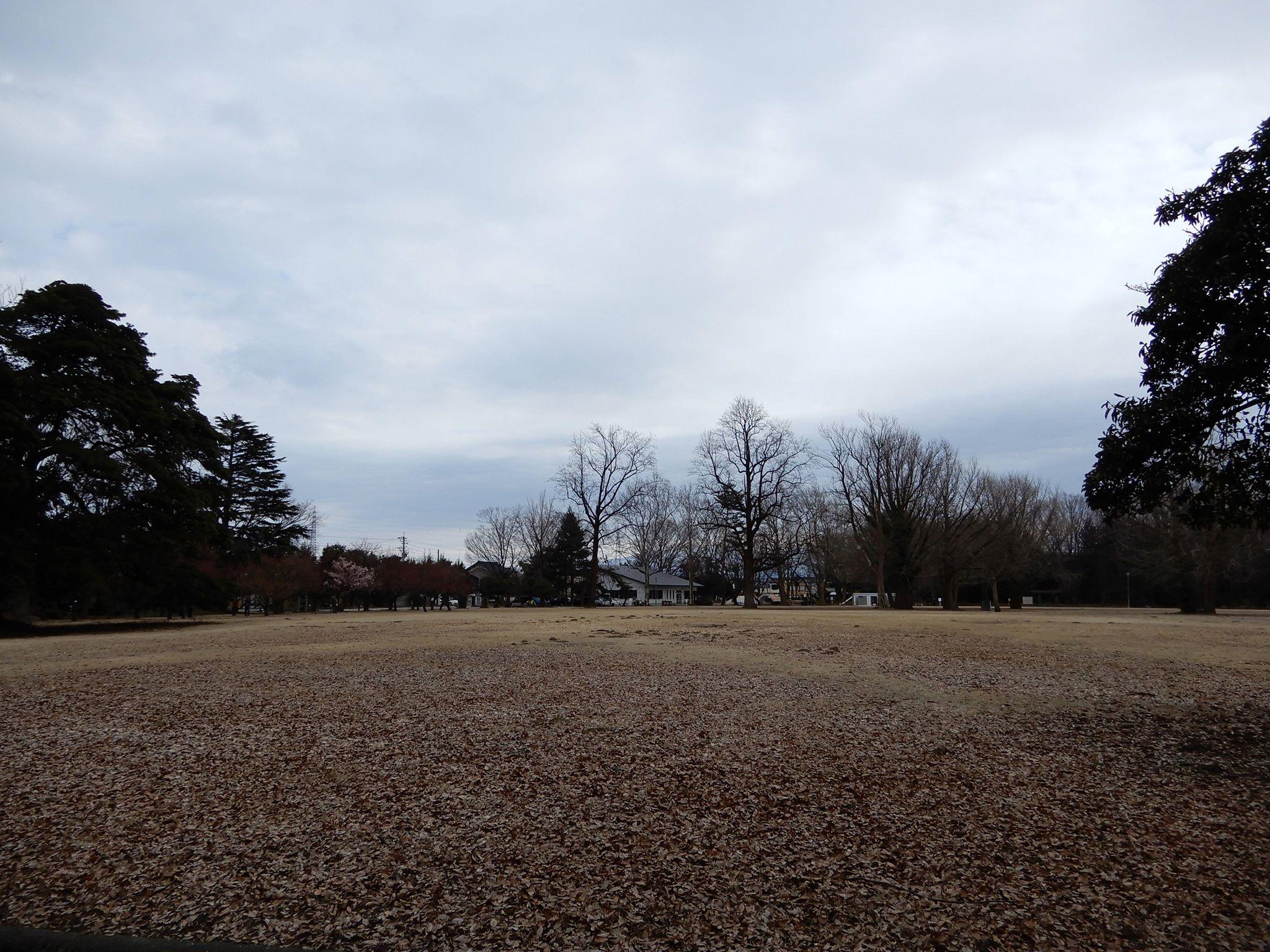 富山 公園｜馬場記念公園