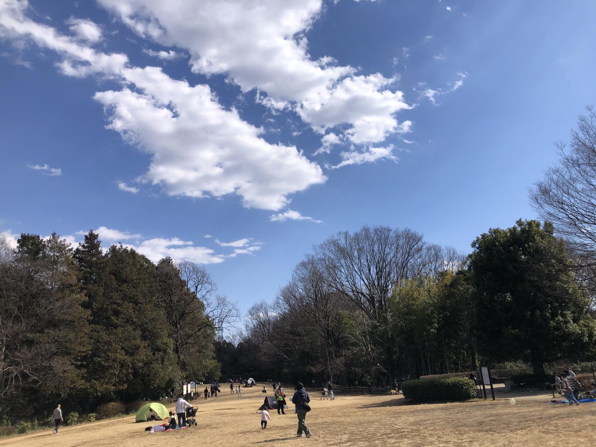 県立東高根森林公園