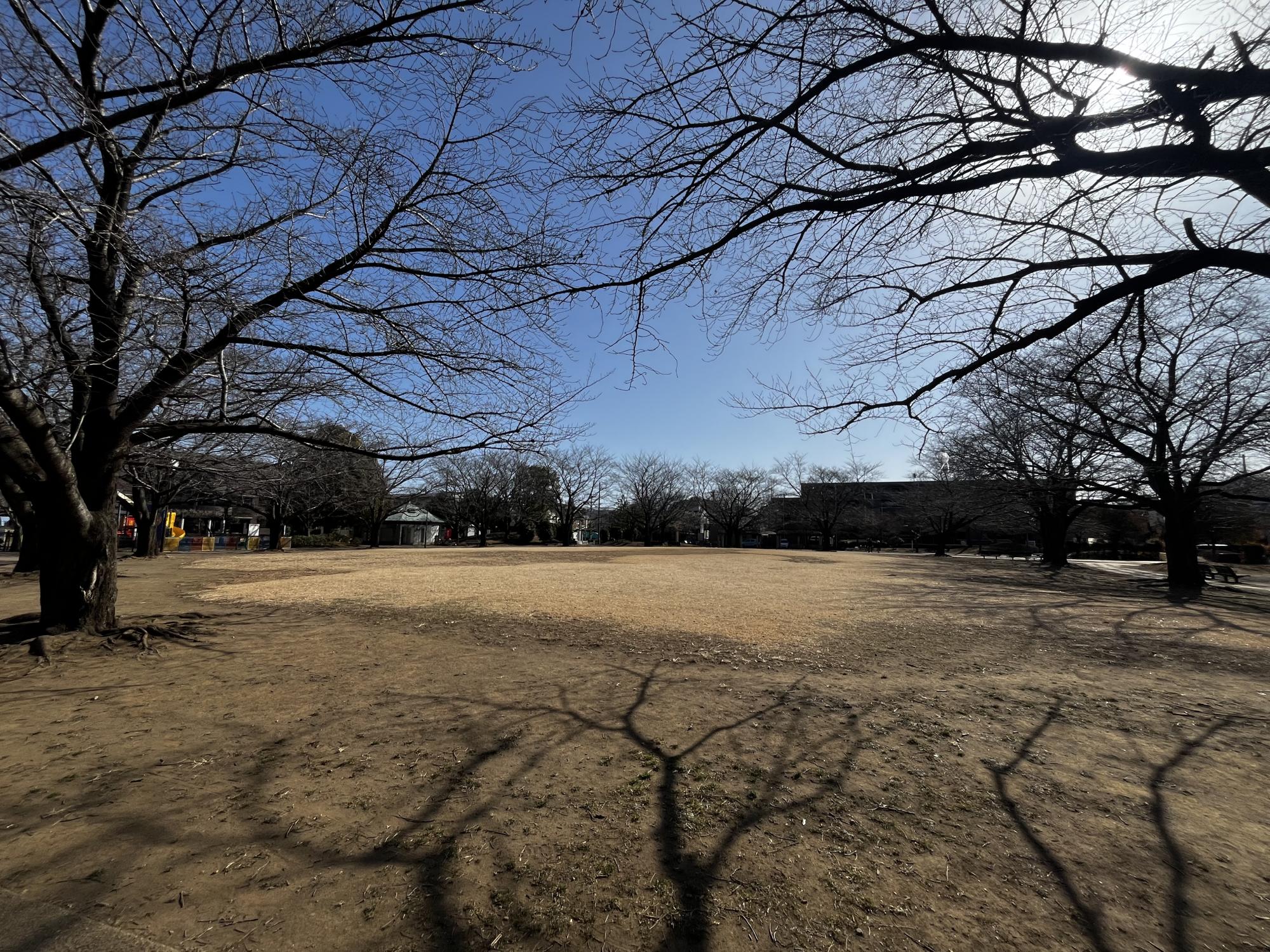 勝瀬原記念公園