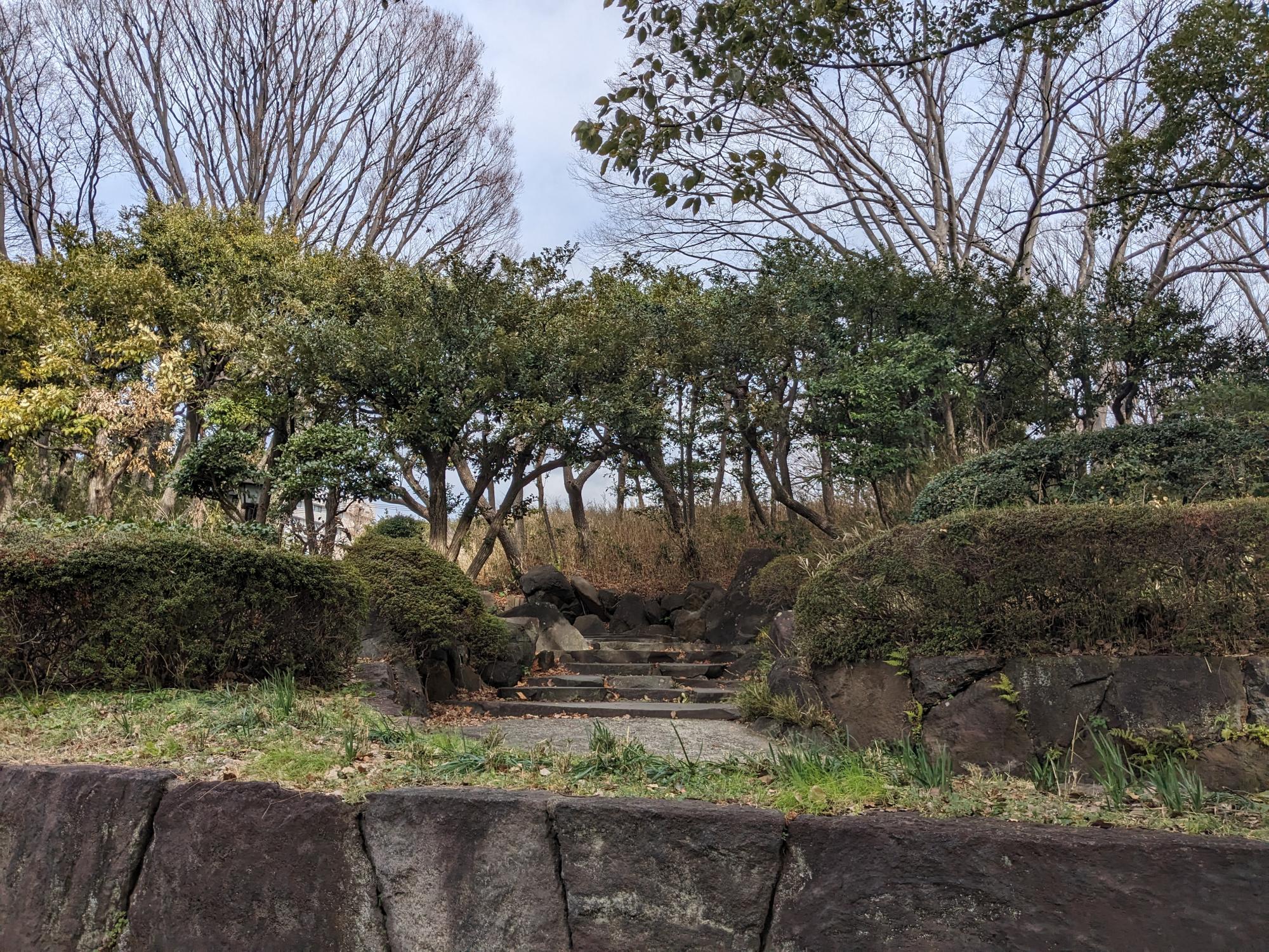 駒沢オリンピック公園