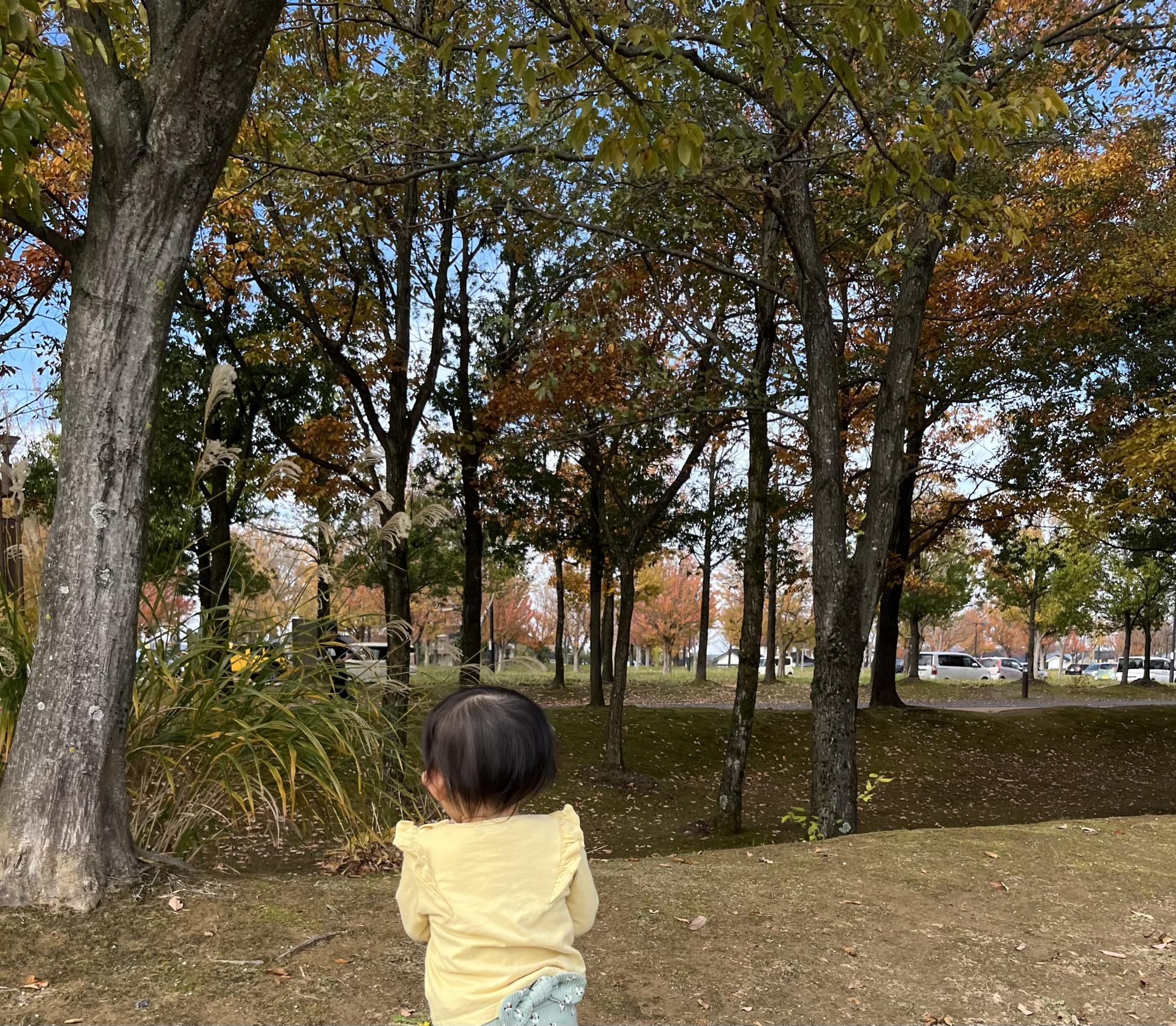 富山県総合運動公園