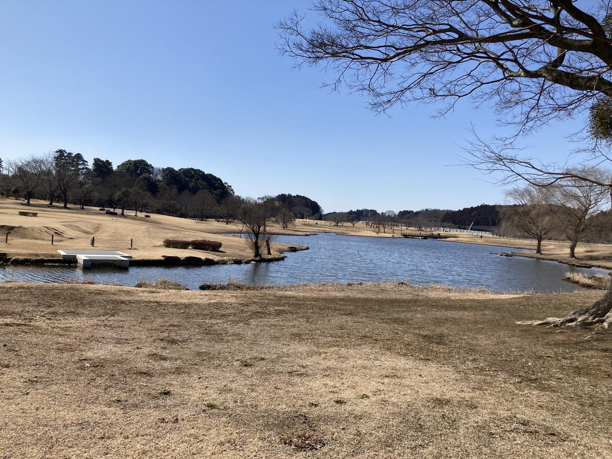 偕楽園公園 四季の原(桜川駐車場周辺)