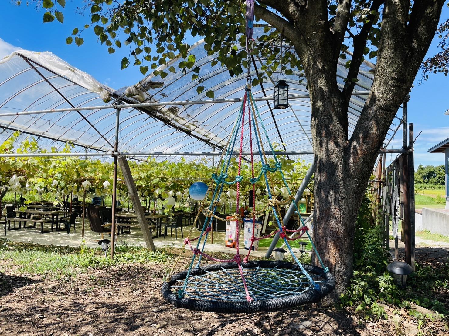 やまふじぶどう園